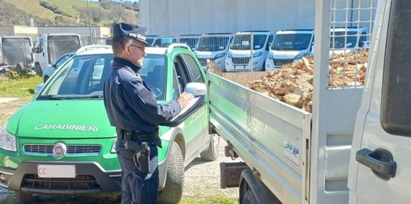 Trasportano rifiuti senza permessi: multati per oltre 3.000 euro